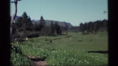 Alaska USA (1977): A View Of The Forest And Mountains