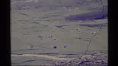 Alaska USA (1977): View Of Beautiful Green Pastures And Animals Enjoying The Sunny