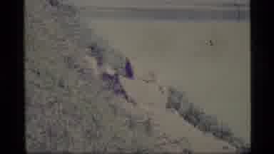 Alaska USA (1977): Animal Possibly A Gopher At Sitting Still On Rock Pile Near