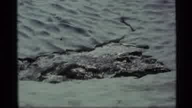 Alaska USA (1977): Fresh Running Spring Ice Water Rocky Mountains Sparkling Clean