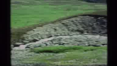 Alaska USA (1977): Footage Of Running Water In A Green Valley