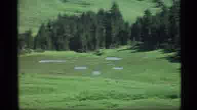 Alaska USA (1977): Meadow With Light Colored Patches Surrounded By Forested Hills