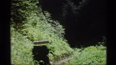 Alaska USA (1977): Trekking With Wildlife