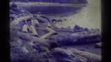 Alaska USA (1977): River With Trees In The Background Followed By A Peacock