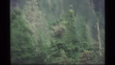 Alaska USA (1977): Amazing Aerial View Of A Hidden House In The Middle Of The The