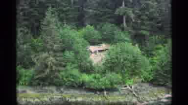 Alaska USA (1977): Aerial View Of Small Wood Structure Surrounded By Green Trees