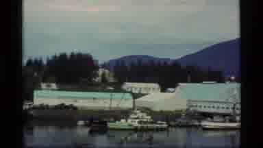 Alaska USA (1977): In This Tiny Port Town There Are So Many Birds And Boats