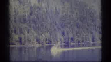 Alaska USA (1977): A Small Boat Sailing Through A River Surrounded By A Forest