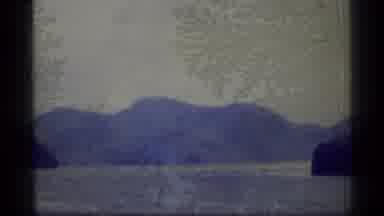 Alaska USA (1977): Bird Flying On The River