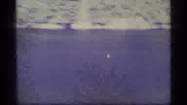 Alaska USA (1977): Bird Flying On The River
