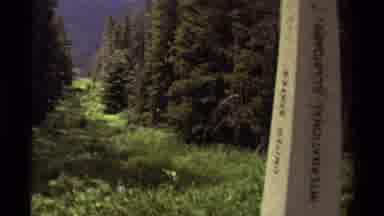 Canada (1979): Tall Trees And Mountain Scenery Catching Up On Nature