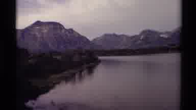 Canada (1979): Birds Flying Over A Lake As A Cow In The Pasture Watches And Takes