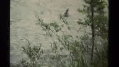 Canada (1979): A Race Across The Water