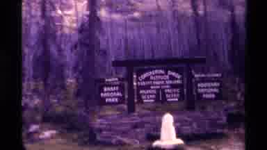 Canada (1979): The Small Blurred Signs In Front Of A Purple Forest Of Trees And A