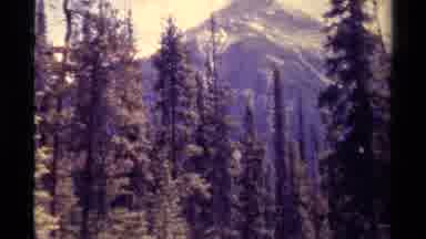 Canada (1979): Mountain Forest View Near Cliff