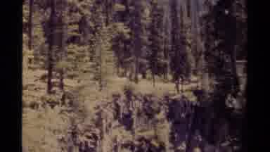 Canada (1979): The Forests Are Really Pretty And People Hike Through Them All The