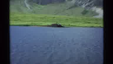 Alaska USA (1977): Wonderful Grass And Water