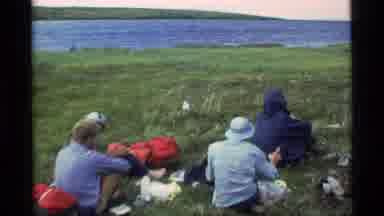 Alaska USA (1977): Film Camera Shot Of Bird In Windy Location