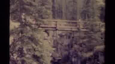 Canada (1979): People Crossing A Wooden Bridge Over A Deep Ravine In A Pine Forest