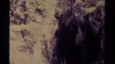 Canada (1979): Amazing High Waterfall In The Mountains That Falls Very Hard And