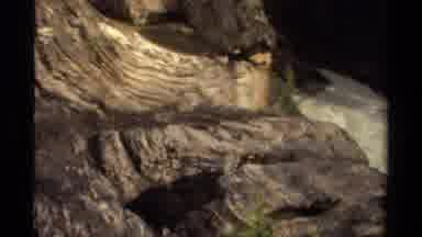 Canada (1979): Riverside Rocks And Pine Trees With Mountains In The Background