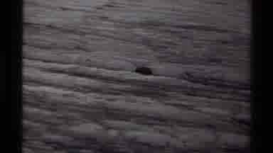 Canada (1979): A Black Bear Is Walking Upwards Through The Vast Rocky Land