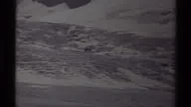 Canada (1979): View Of Icy Terrain And Shot Of Two Rams Exploring The Highway