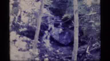 Alaska USA (1977): Beautiful Waterfall Flowing Down Stream