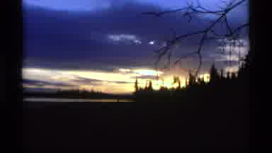 Alaska USA (1977): A View Of Two Scenes One Of A Dark Eerie Forest And The Second