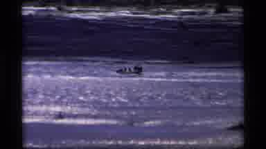 Alaska USA (1977): A Fast Boat In The Sea And A Green Forest Through The Mountains