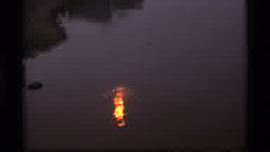 Alaska USA (1977): Sun Reflecting On The Water Behind The Trees While Setting