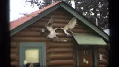 Alaska USA (1977): One Landmark Showing On House And Garden Is Beautiful