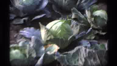 Alaska USA (1977): Old Train At Station With Vegetables