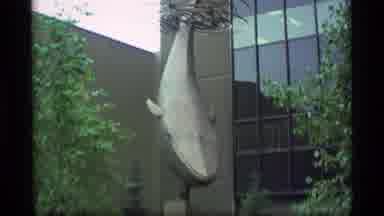 Alaska USA (1977): Whale Sculpture And Modern Business Buildings On A Clear Day