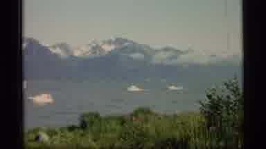 Alaska USA (1977): A Few Of Many Boats Touring The Ocean