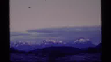 Alaska USA (1977): Snow Capped Mountains In Distance With Trees And Meadows In