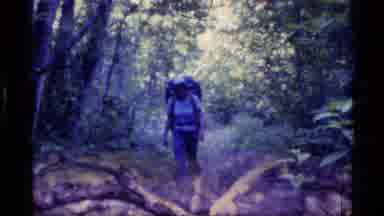 Alaska USA (1977): Excursion In The Forest Where Amazing Animals Are Found