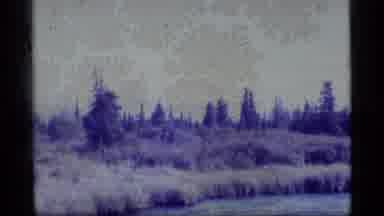 Alaska USA (1977): A View Of Swampland And A View Of Rocky Mountains