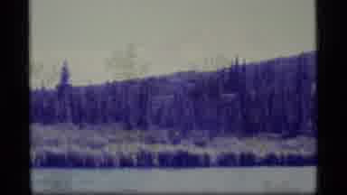 Alaska USA (1977): A View Of Mountain Peaks Surrounded By Water And Swamp Land
