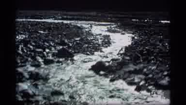 Alaska USA (1977): Hills And Pine Forest Meet Bubbly Rocky Shallow River Stream