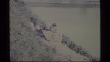 Alaska USA (1977): Nature Dark Water Pipe Green Mountain Hill Rock Dirt Dust