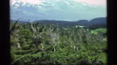 Alaska USA (1977): A View Of An Isolated Forest And A Cold Mountain Peak Scene In