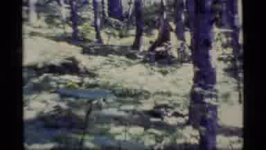 Alaska USA (1977): Watch These Rusting Structures In The Middle Of A Giant Forest