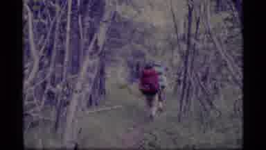 Alaska USA (1977): Hiking In The Woods With Children On Your Back During The Day