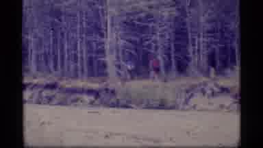 Alaska USA (1977): A View Of Hikers Walking In The Isolated Forest