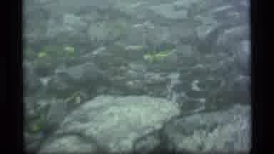 Alaska USA (1977): Views Of Snow Covered Mountains And Green Field On A Cloudy Day