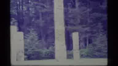 Alaska USA (1977): One Huge Column And Four Small Located In A Forest And Part Of