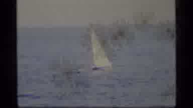 Alaska USA (1977): Single Sailboat In Calm Waters Off The Coast Of A Remote