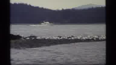 Glacier Bay Alaska USA (1977): Boat Moving Across Body Of Water