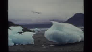 Glacier Bay Alaska USA (1977): Icy Bay With Small Icebergs Stranded On The Beach